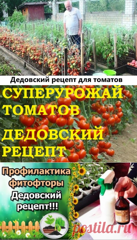 (25) Одноклассники