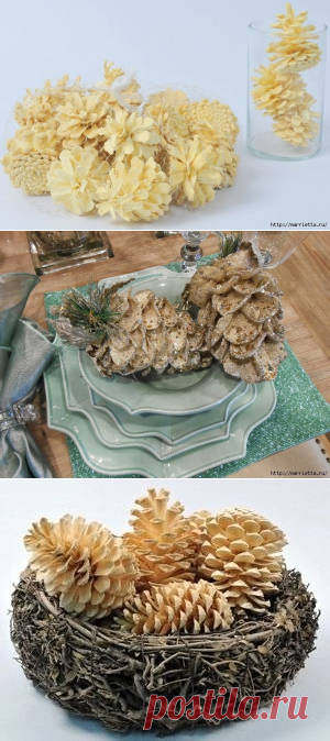 Как отбелить сосновые шишки