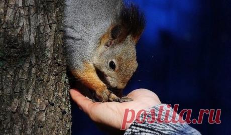 Что отдаем, то и получаем... 
Очень часто человек излучает в окружающий мир собственную страсть и ненависть, а потом испытывает защитную реакцию — страх и тревогу. 
Получается, получил то, что отдал. 
А можно отдать другое, к при…