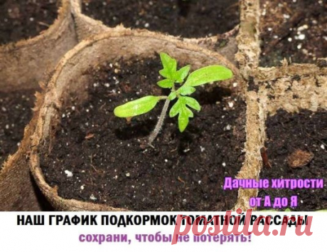 (33) Одноклассники