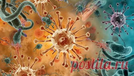 Аллергия у животных и людей: причины и лучшее лечение | Полный обзор