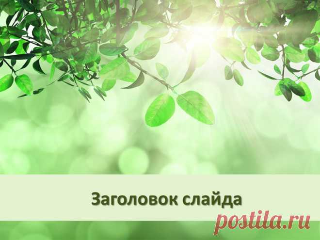 Листья под солнцем, шаблон для создания презентации Powerpoint