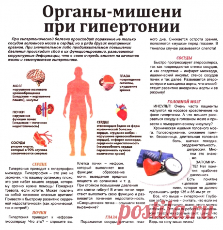 Органы-мишени при гипертонии