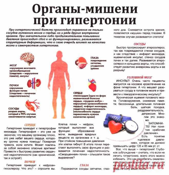 Органы-мишени при гипертонии