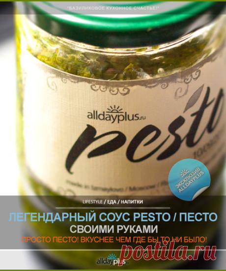 Как приготовить Песто - мой личный опыт. 10 шагов и 10 фото.