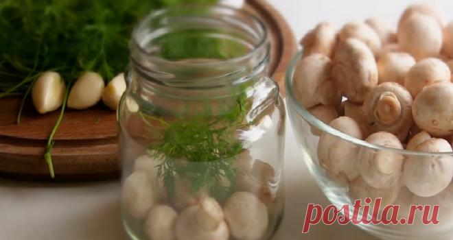 Маринованные шампиньоны быстрого приготовления – 6 рецептов в домашних условиях