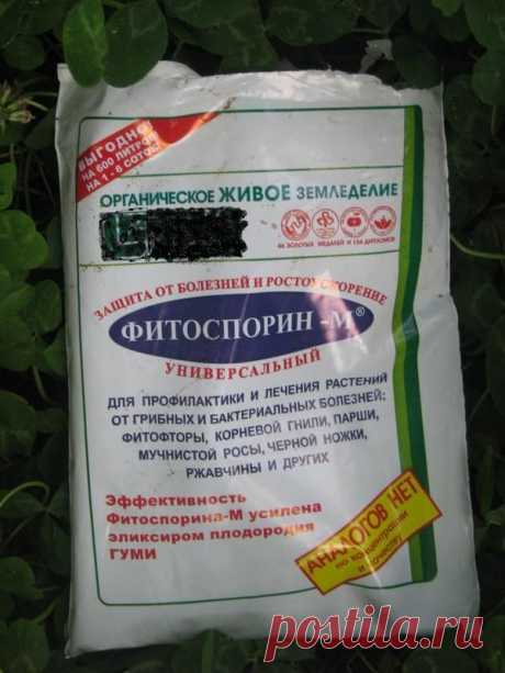 Как применять Фитоспорин-М ?