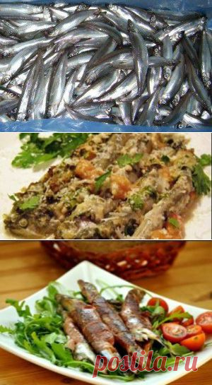 Три дорогих блюда из дешевой мойвы | БУДЕТ ВКУСНО!