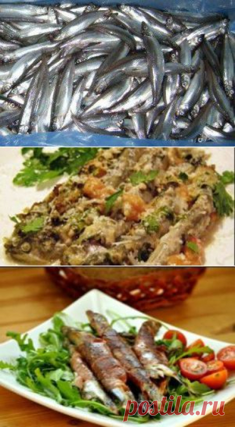 Три дорогих блюда из дешевой мойвы | БУДЕТ ВКУСНО!