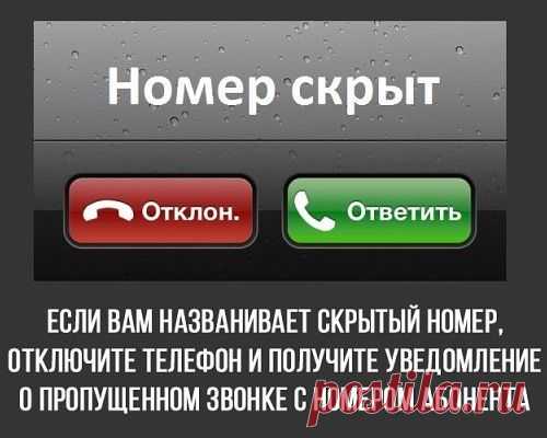 ПОЗНАВАТЕЛЬНО И ПОЛЕЗНО