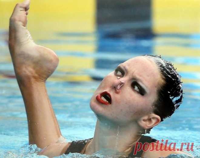 25 самых уморительных фото пловчих, которые доведут тебя до истерики | Позитив в картинках и не только