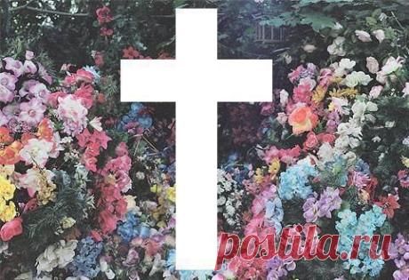wolf hipster tumblr - Поиск в Google