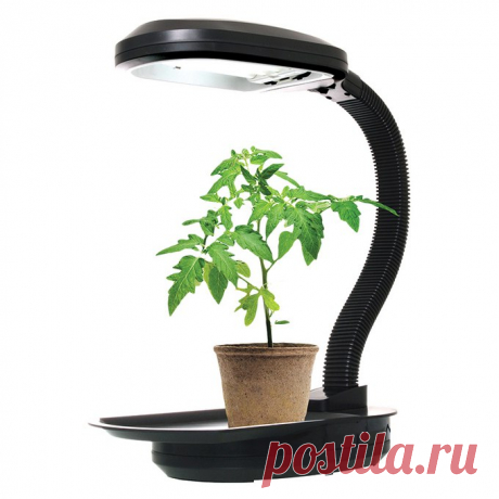 Gardening | Конструкция с освещением для выращивания рассады, сделанная своими руками
Конструкция с освещением для выращивания рассады, сделанная своими руками
- У каждого дачника есть своя «фирменная» конструкция с освещением для выращивания рассады, сделанная своими руками! Эту «модель» я нашла одном из форумов садоводов. Мне понравилась ее мобильность,