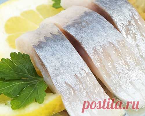 Скумбрия малосолёная. Засолка своими руками.