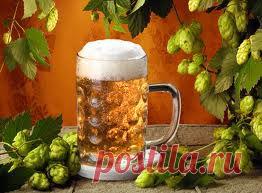 рецепты здоровья и долголетия | Жизнь с радостью