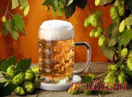 рецепты здоровья и долголетия | Жизнь с радостью