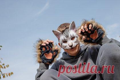 Российский священник увидел связь между ЛГБТ и квадробингом