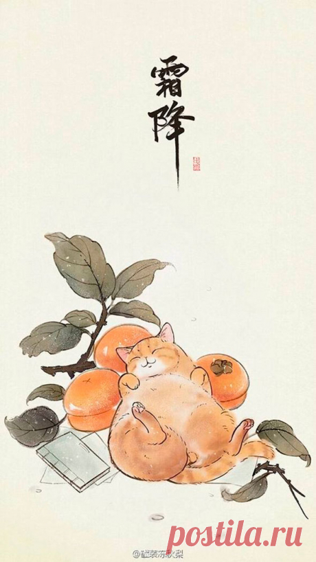 Самые милые нарисованные котики