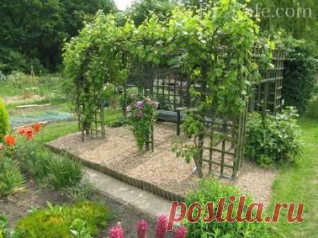 Шпалера для винограда своими руками: как сделать опору под виноградник