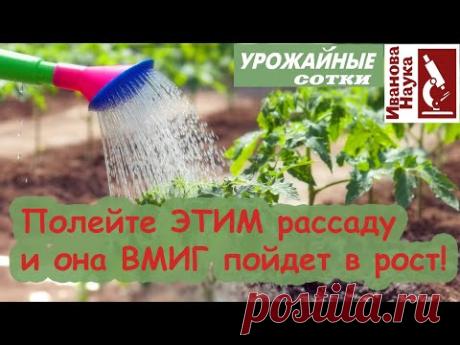 Ствол крест вязаная нить макраме струна легкая ограниченная вязаная сумка первая часть6 РЕЦЕПТОВ КРАСОТЫ для ваших томатов!