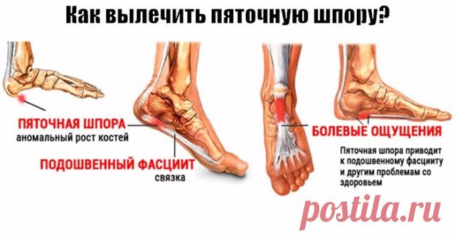 ЧУДО СРЕДСТВО СПАСАЕТ ОТ ВСЕГО. | OK.RU