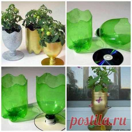 Пластиковая бутылка - способы использования. Идеи декора