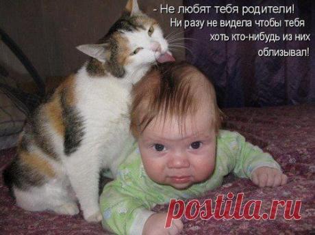 Интересные новости