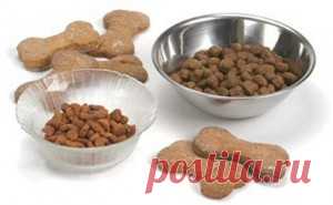Сухой корм своими руками