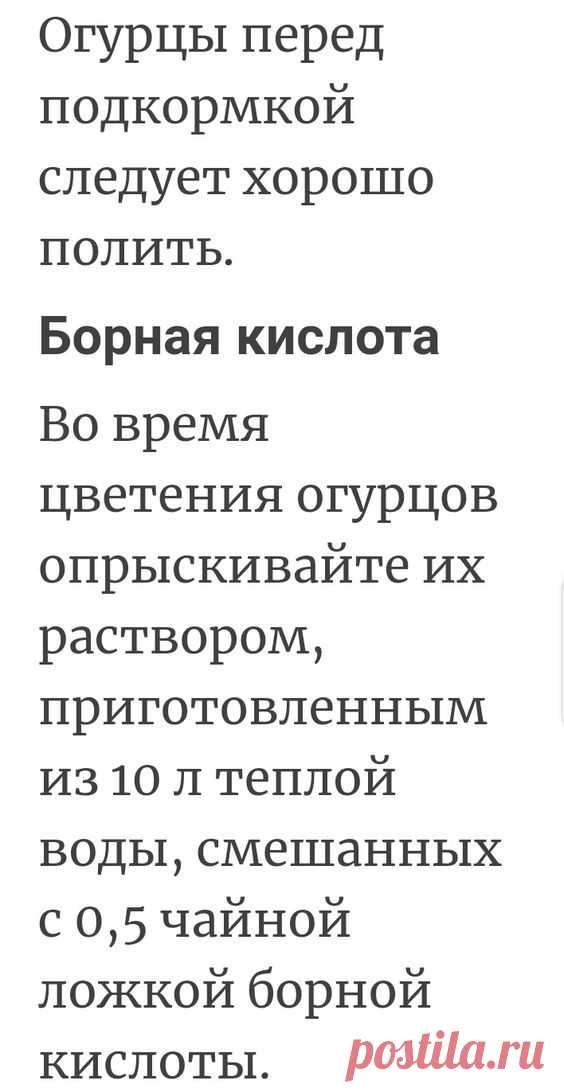 (1) Pinterest