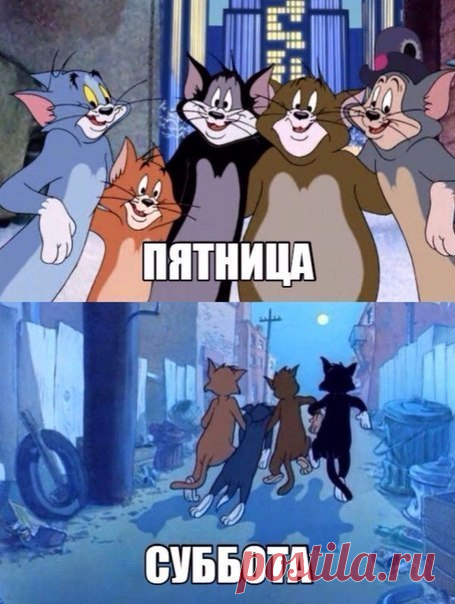 Новости