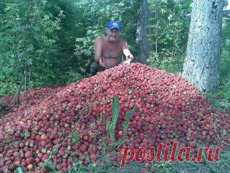 (3) Одноклассники