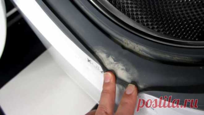 Как полностью очистить стиральную машинку / Домоседы