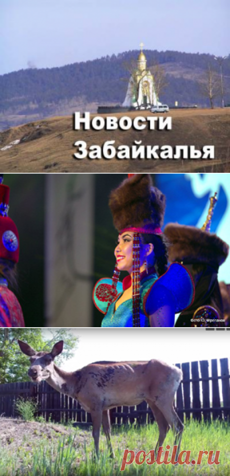 "Дангина" - наша. Как изюбрь умер. Пострадавшие за выходные. Китайцы едут. Ильковский никуда не уезжал - 4 Июля 2016 - Russia-Asia-Siberia