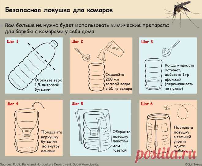 Самодельная ловушка для комаров — Делимся советами