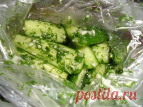 Малосольные огурцы быстрого приготовления