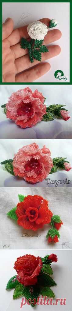 розы on Pinterest | 1071 Pins