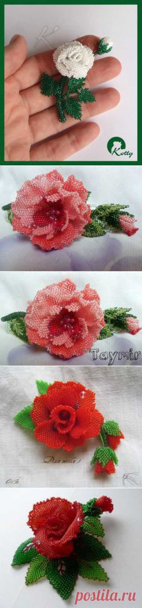 розы on Pinterest | 1071 Pins