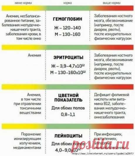 Анализ крови