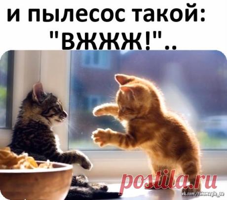 hIG48y4g8UY.jpg (572×503)