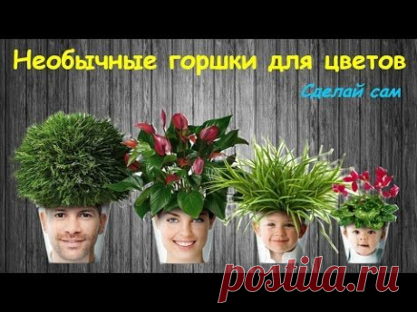 Необычные горшки для растений и цветов. Мастер-класс.
