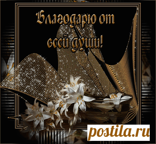 ПАМЯТКА ПО СПЕЦИЯМ: КУДА ЧТО ДОБАВЛЯТЬ. СОХРАНИТЕ!