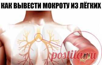 КАК ВЫВЕСТИ МОКРОТУ ИЗ ЛЁГКИХ? НАРОДНЫЕ РЕЦЕПТЫ 

Скорее всего, нет такого человека, который бы не сталкивался в своей жизни с проблемой грудного мокрого кашля. Причины его появления могут быть самые разные (от курения до бронхита), но лечение одно – необходимо природным путём разжижать и удалять слизь из дыхательных путей. В этой статье мы приводим несколько натуральных эффективных рецептов против этого недуга. 
Как вывести мокроту из легких? – эффективные рецепты: 

1. О...