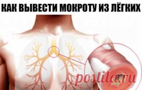 КАК ВЫВЕСТИ МОКРОТУ ИЗ ЛЁГКИХ? НАРОДНЫЕ РЕЦЕПТЫ 

Скорее всего, нет такого человека, который бы не сталкивался в своей жизни с проблемой грудного мокрого кашля. Причины его появления могут быть самые разные (от курения до бронхита), но лечение одно – необходимо природным путём разжижать и удалять слизь из дыхательных путей. В этой статье мы приводим несколько натуральных эффективных рецептов против этого недуга. 
Как вывести мокроту из легких? – эффективные рецепты: 

1. О...