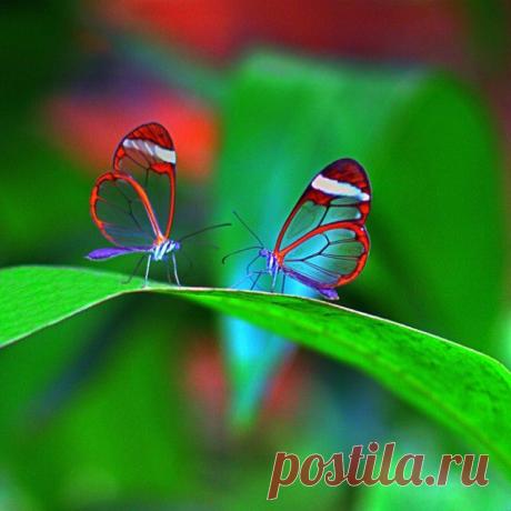 FotoKto (@fotokto_ru) • Instagram photos and videos
