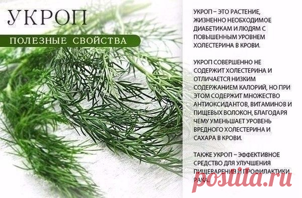 (4) Мой Мир@Mail.Ru