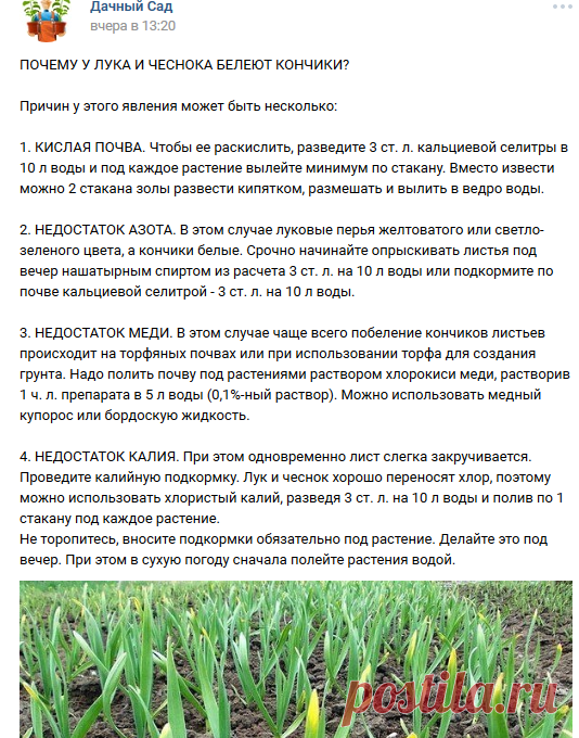 Дачный Сад | ВКонтакте