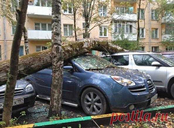На автомобиль упало дерево: куда звонить и с кого требовать компенсацию Никто из водителей не может быть застрахован от падающего на машину дерева. Только если ставить автомобиль всегда в безопасном месте, но об этом вряд ли кто-то задумывается, пока проблема не становитс...