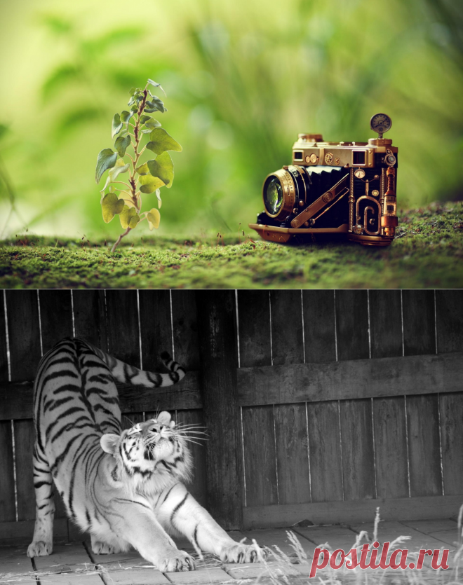 Картинки и фотографии на просторах интернета