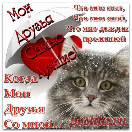 s-1096.jp (604×604)