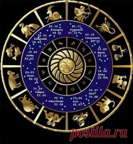 Прекрасный подарок комнатное растение по знаку зодиака( к Новому году, на всю жизнь!!!!)..